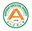 东北农业大学